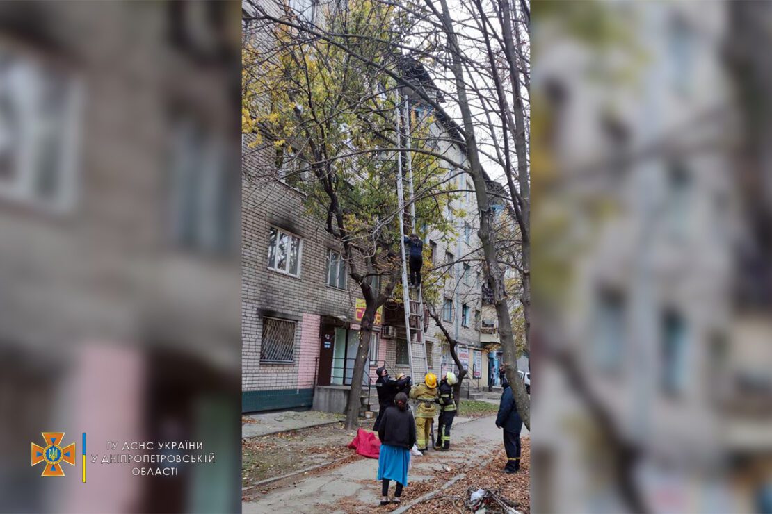 В Никополе беременная девушка залезла на дерево - новости Днепра