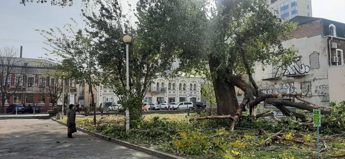 В Днепре в парке Глобы упала огромная ветка: причины (Фото)