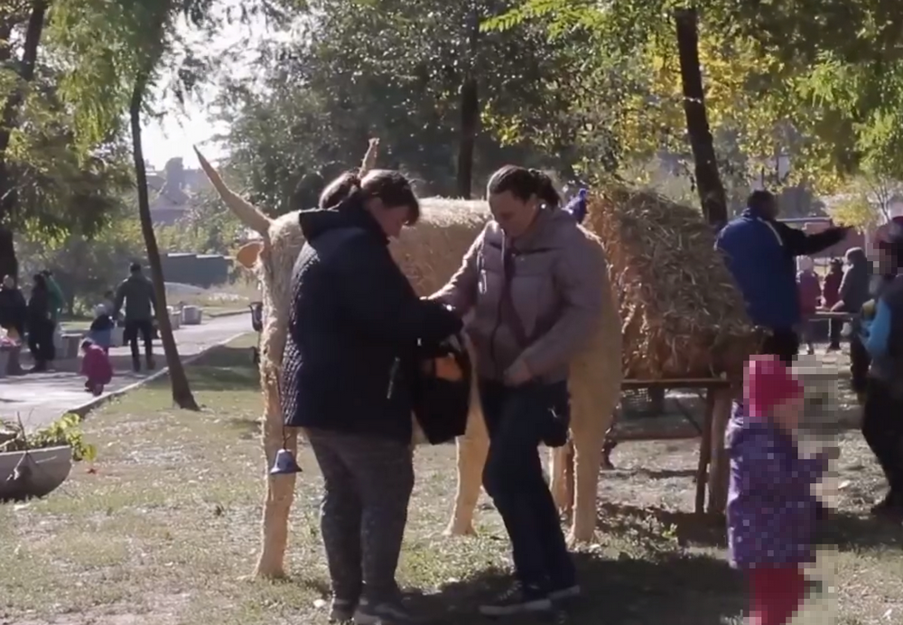 В Амурском парке женщины украли тыкву - новости Днепра