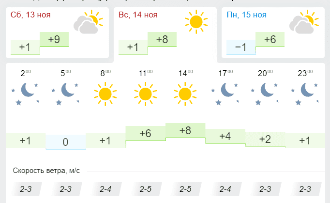 Погода 14 ноября 2021 - новости Днепра