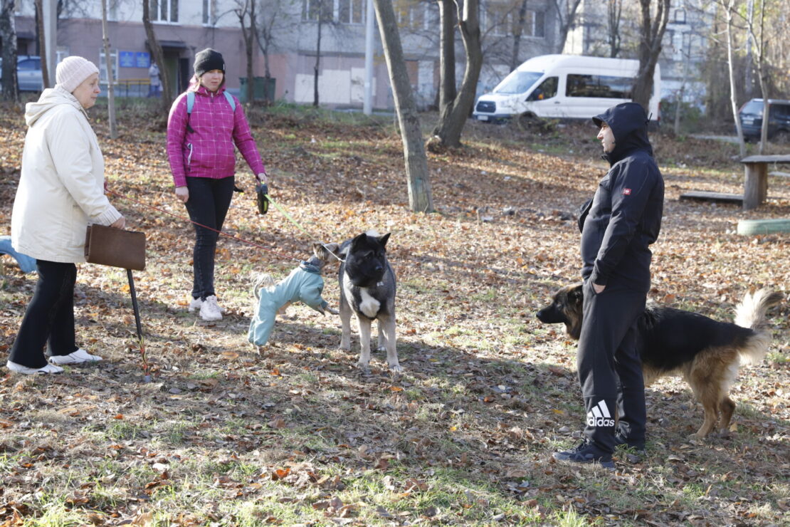 Площадке для выгула собак на Западном – быть: как городские власти Днепра отреагировали на скандал вокруг Бюджета участия