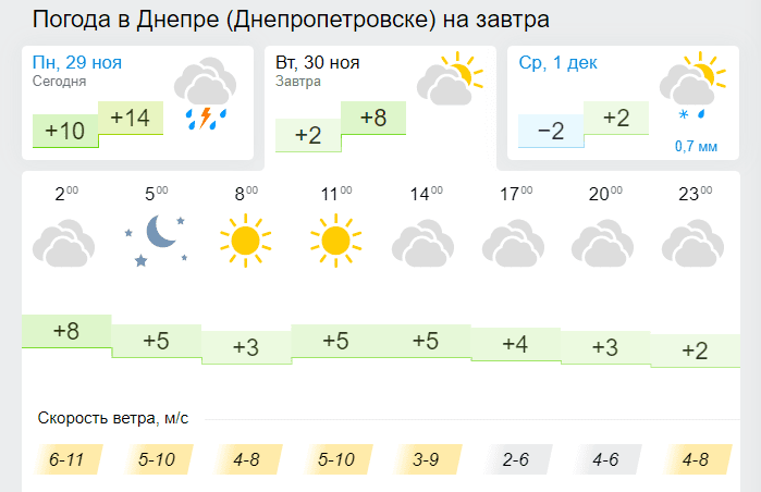 30 ноября 2021, день домашних животных: что нужно - новости Днепра