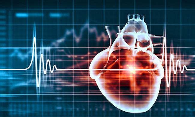 Як захистити серцево-судинну систему під час пандемії
