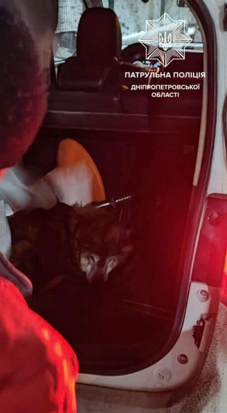 Патрульные спасли собаку (Фото) - новости Днепра