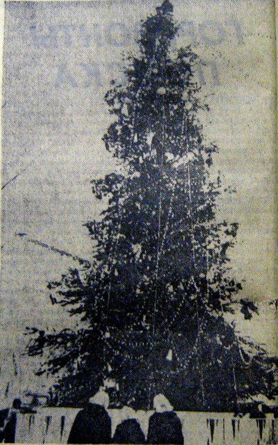 Как за 60 лет поменялась главная елка (Фото) - новости Днепра