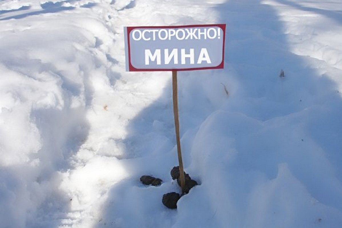 Собачьи экскременты после снега - новости Днепра