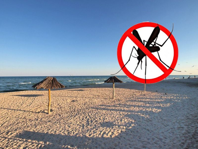 В Кирилловке исчезнут комары - новости Днепра