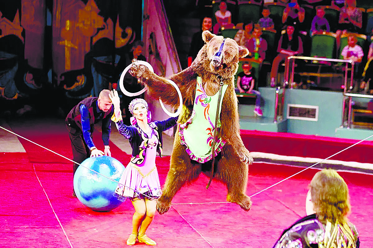 Цирк без животных в Днепре: за и против - новости Днепра