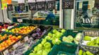 Цена на капуста выросла на 300% - новости Днепра