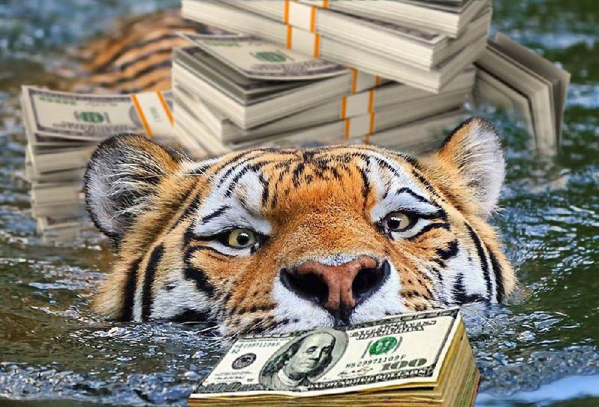 Знаки Зодиака, которых в 2022 году озолотит Тигр - новости Днепра