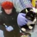 Подробности убийства женщины с кошкой - новости Днепра