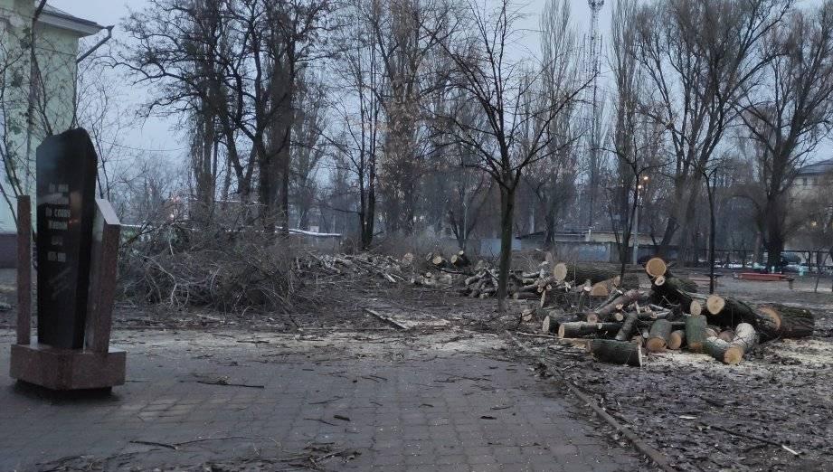 В сквере на левом берегу срубили тополя - новости Днепра