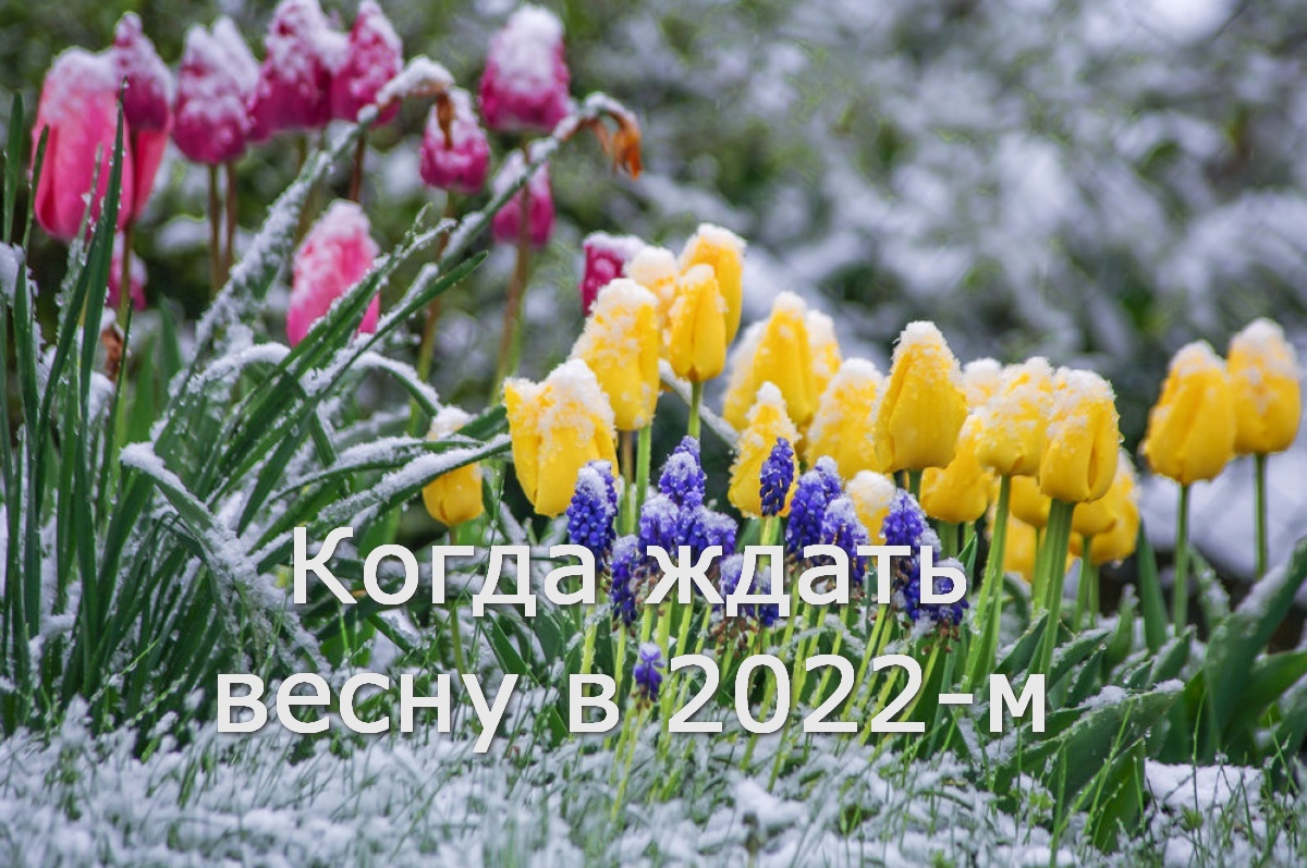 Когда ждать весну в 2022 году и какая погода будет на Пасху