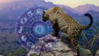 Знаки Зодиака, которые станут любимчиками судьбы в марте 2022 - новости Днепра