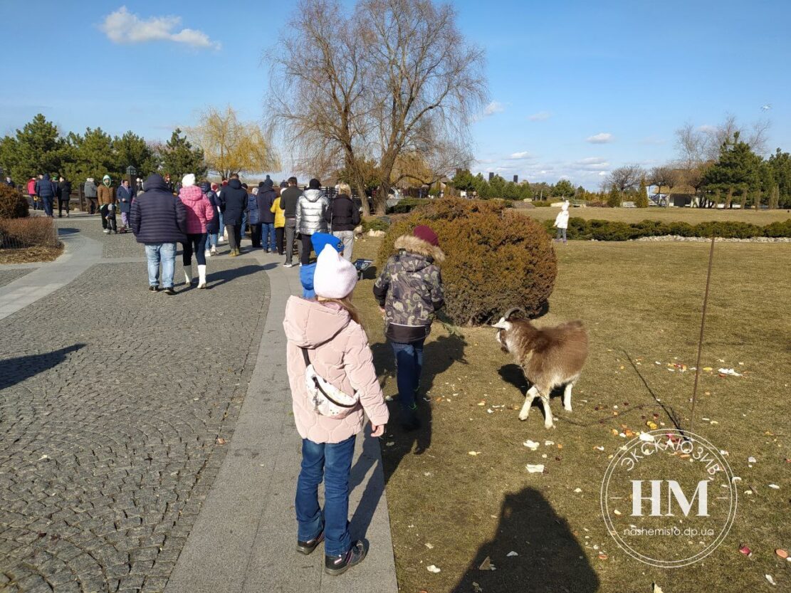 Полгорода проводит воскресенье в яхт-клубе «Сич» - новости Днепра