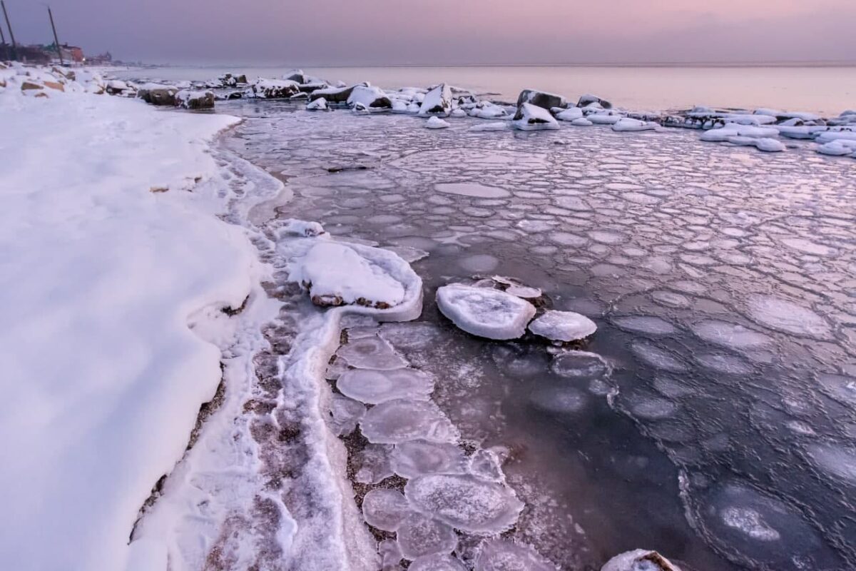 На Азовском море в Бердянске показали «замерзших медуз» (Видео)