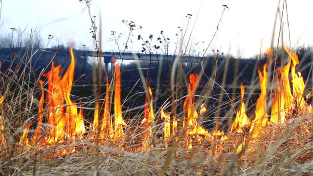 В Украине сжигание сухой травы приравняли к диверсии