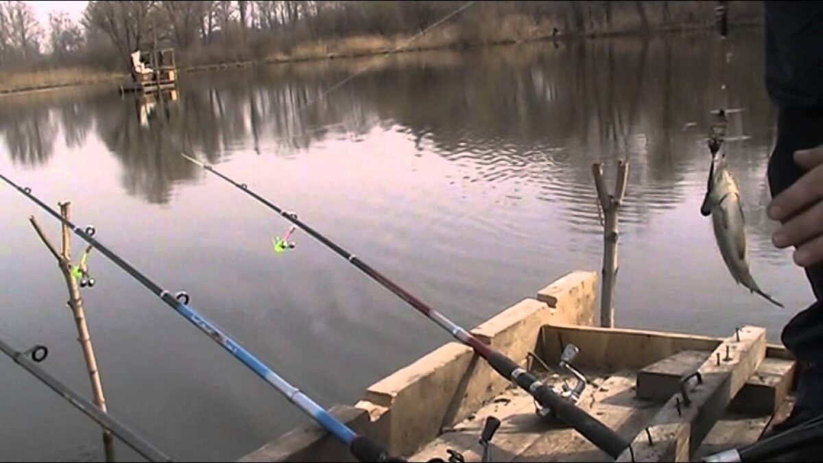 В Днепре и области запретят ловить рыбу - новости Днепра