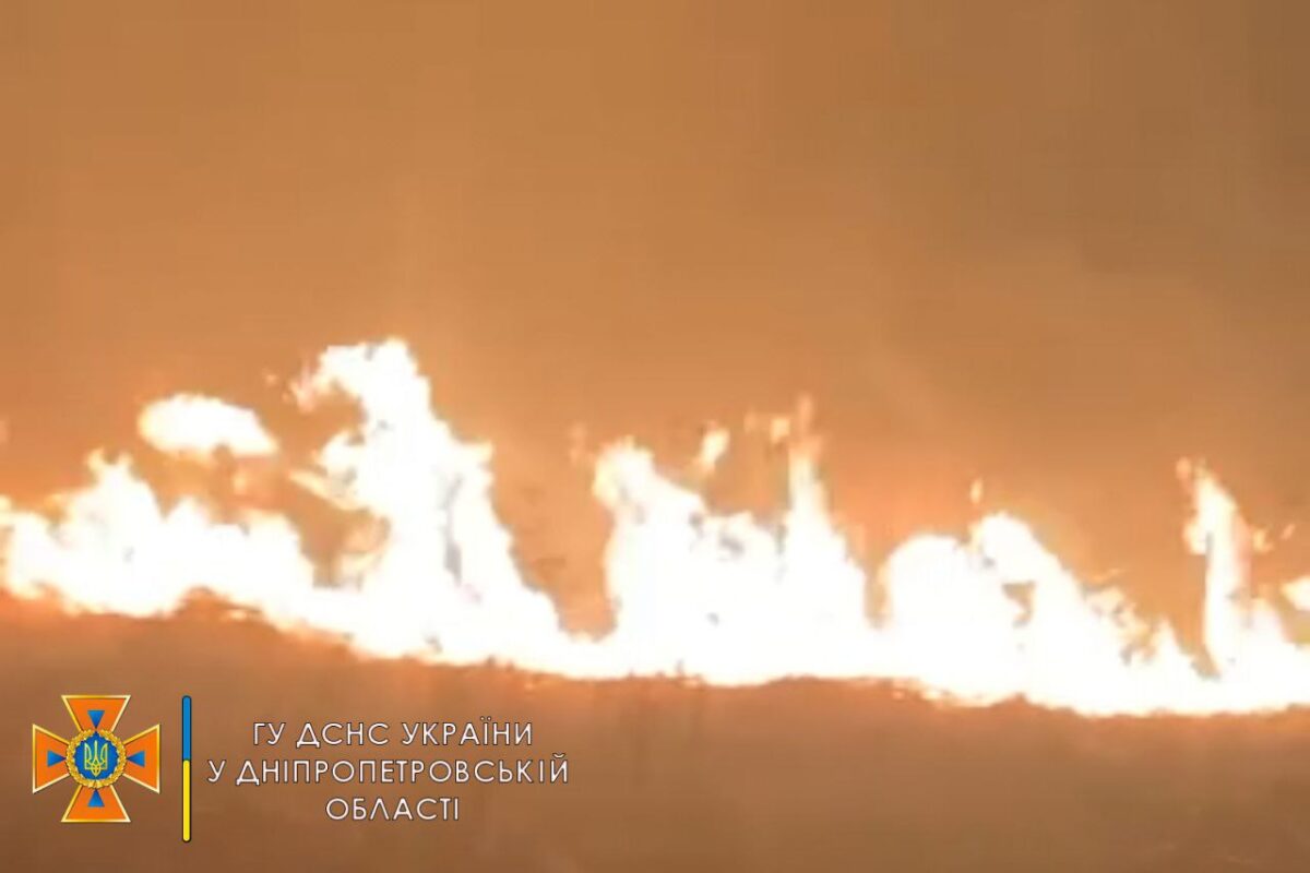 Сражаются 4 пожарные части: под Днепром бушует ужасный пожар в экосистеме