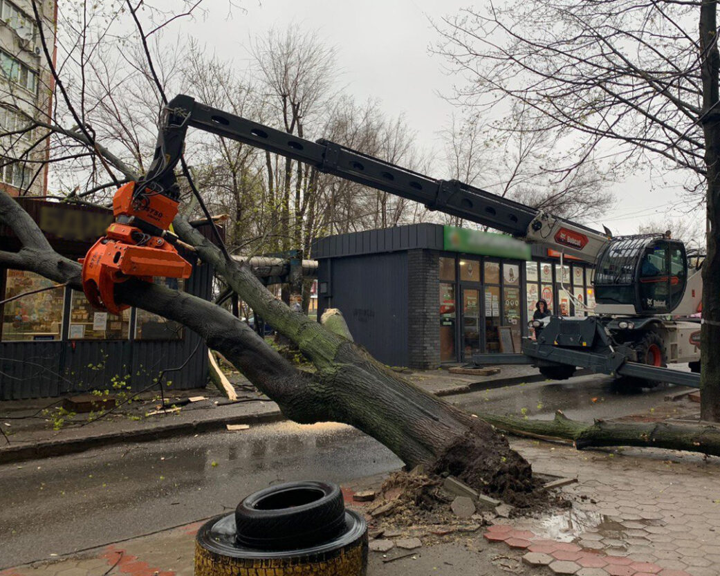 Дерево упало на торговые павильоны - новости Днепра