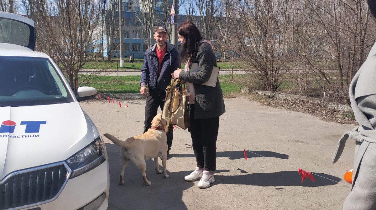 В Днепре КП «Зооконтроль» принимает домашних любимцев, в частности, из зоны боевых действий