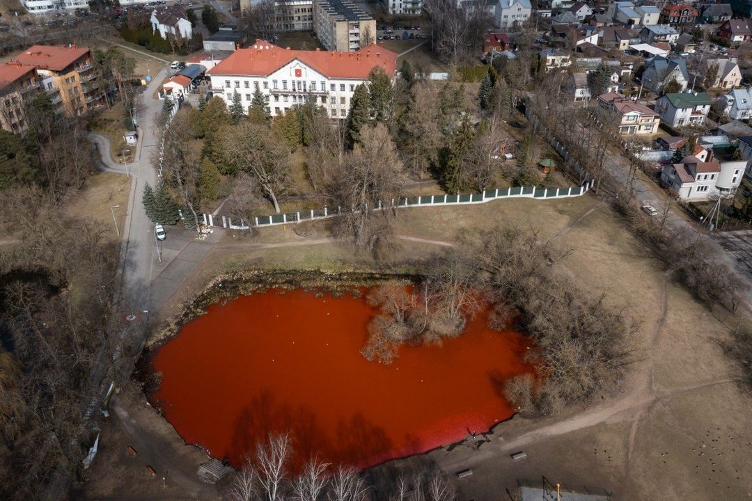 «Кривавий» ставок біля посольства рф у Вільнюсі - новости Днепра