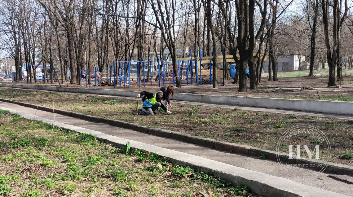 Парки і сквери Дніпра оновлюють під зими  - новини Дніпра