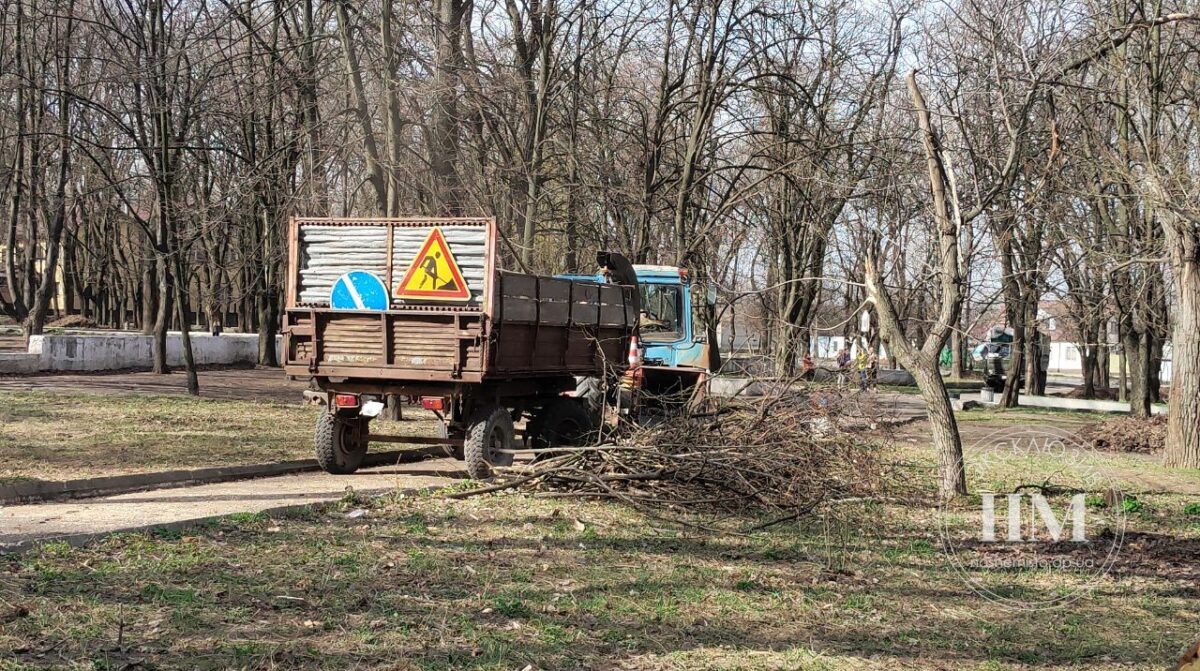 Висадження клумб, обрізування сухостою: парки і сквери Дніпра оновлюють під зими