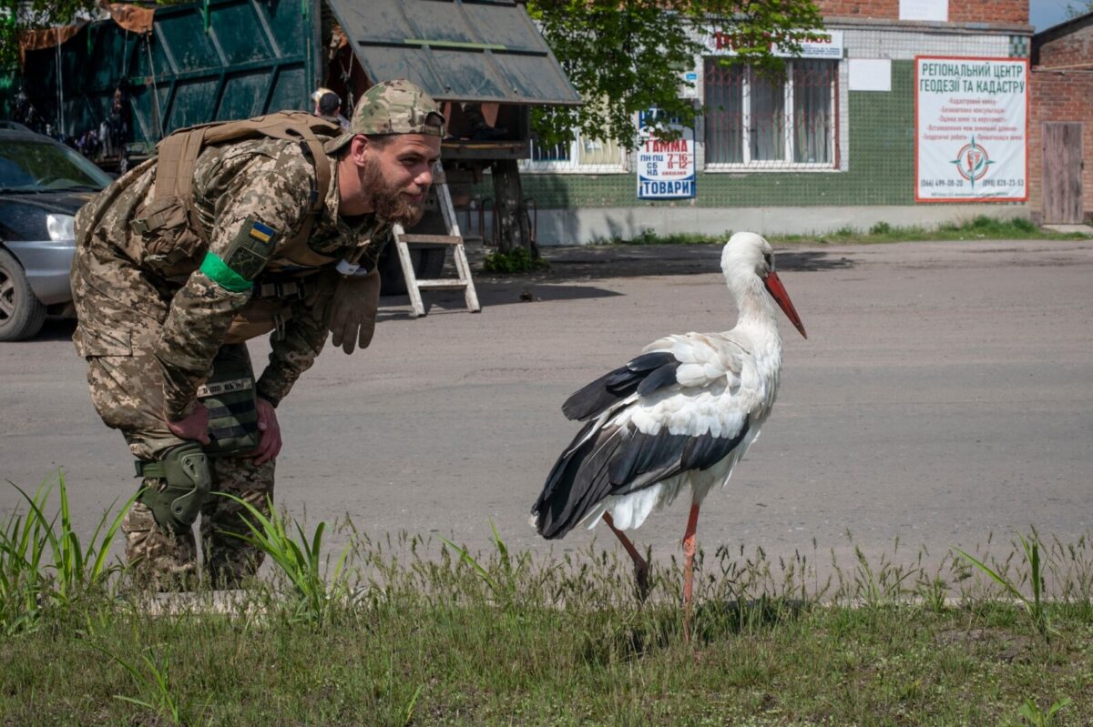 Днепровская бригада показала «биологическое оружие» - новости Днепра