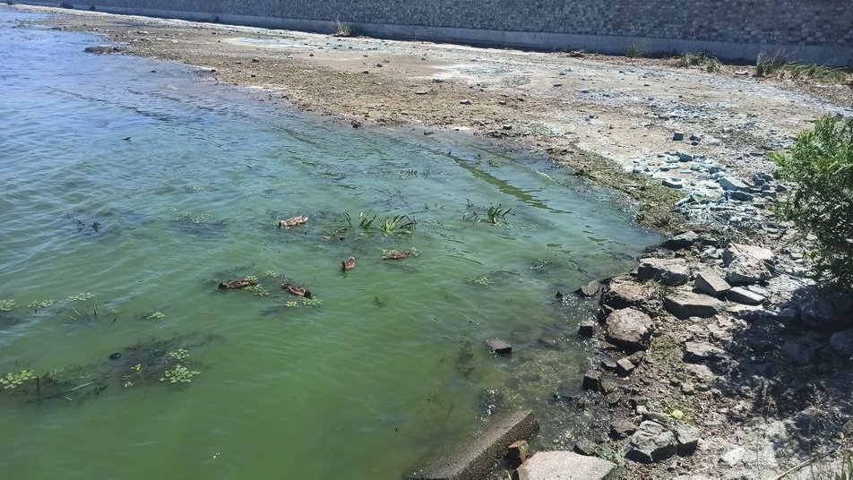 Ушла вода в Днепре - Наше Мисто