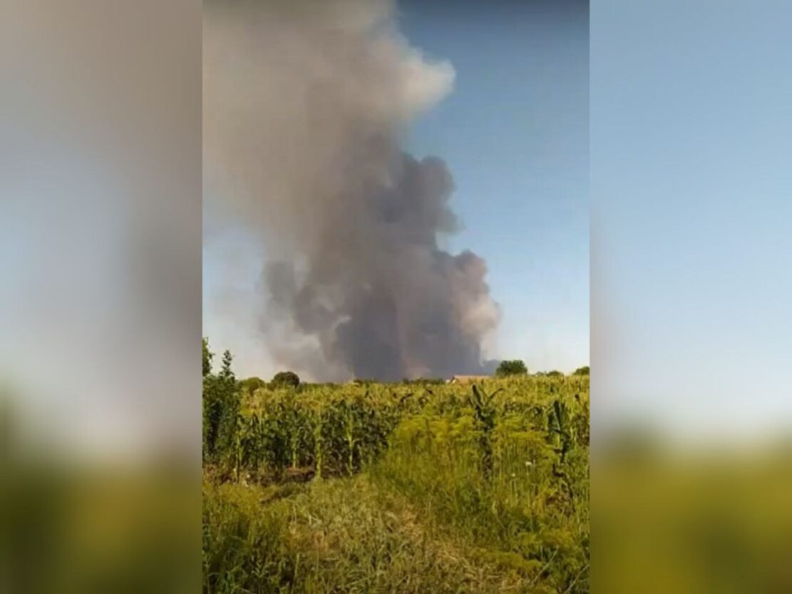 Пожар видно с Днепра: в Новомосковском районе горит лес (Фото)