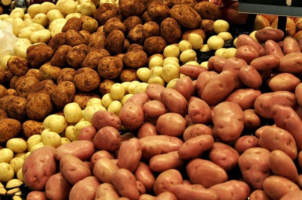 Новини Дніпра: Купити картоплю у Дніпрі - Наше Місто