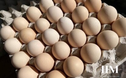 Ріст цін зупинився: стало відомо, коли подешевшають яйця у Дніпрі
