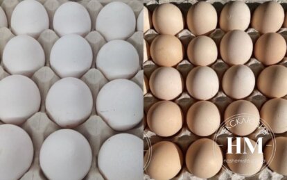 У чому відмінність коричневих яєць від білих - Наше Місто