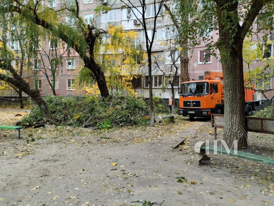 На ж/м Покровский пилят деревья - Наше Місто