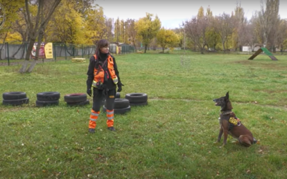 Знаходять і живих, і мертвих: як героїчні собаки-рятівники з Павлограду допомагають ЗСУ (Ексклюзив)