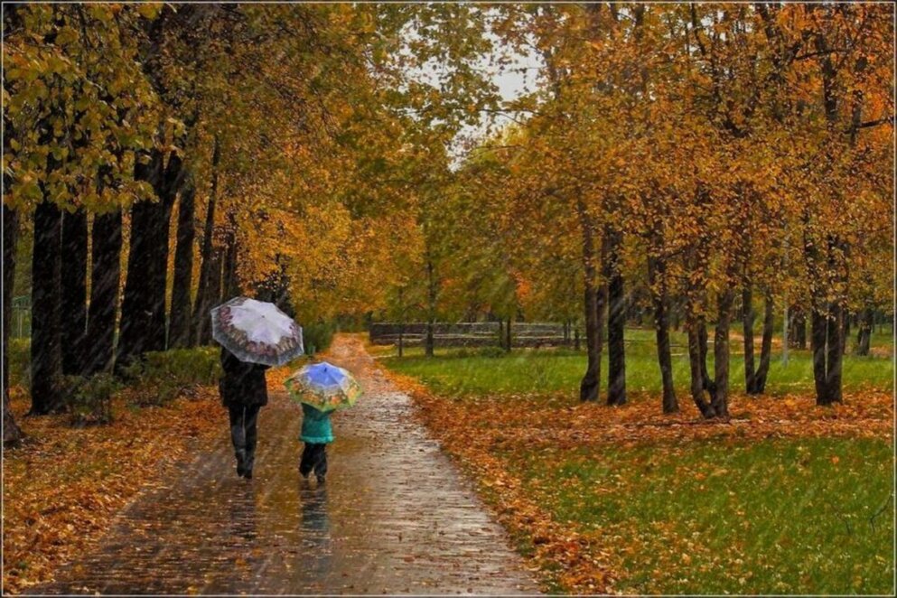 Новини Дніпра: Погода в останній тиждень листопада - Наше Місто