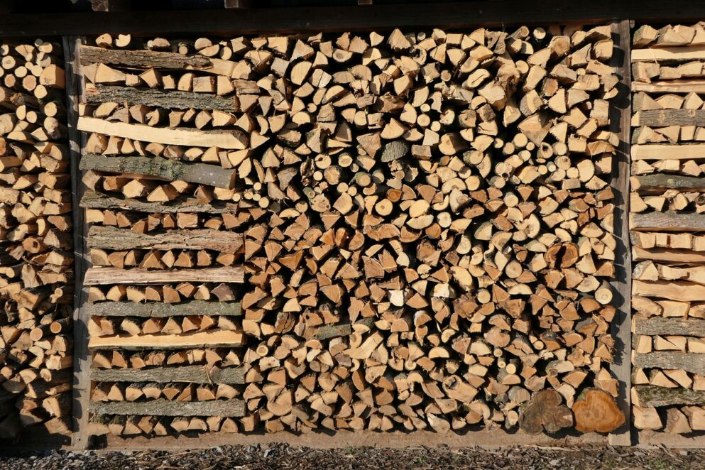 В Україні рекордно подорожчали дрова: названо ціни 