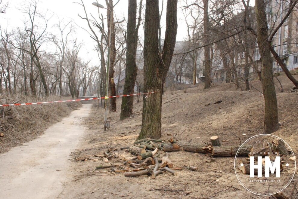 Новини Дніпра: Пиляють дерева в парку Глоби