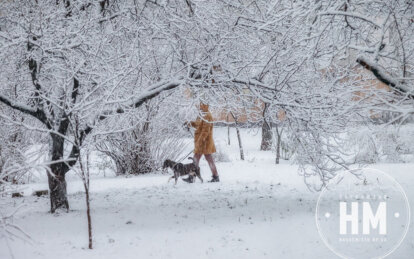 Новини Дніпра: Погода в Дніпрі сніг