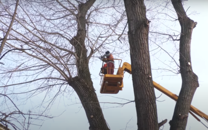 Новини Дніпра: Комунальники видаляють дерева
