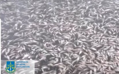 Новини Дніпра: Чому у Дніпрі гине риба