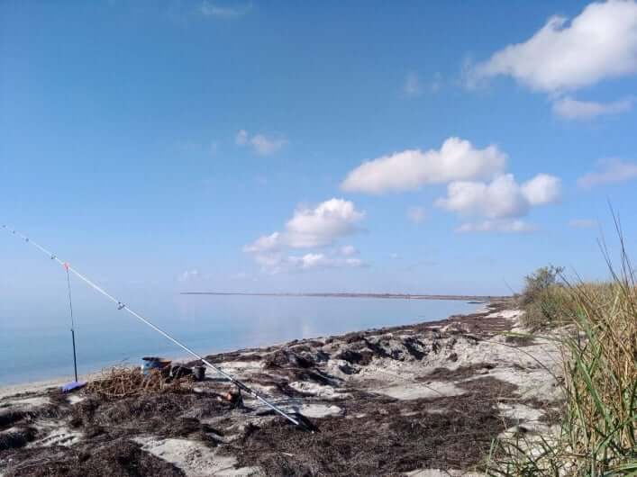 Новини Дніпра: В Азовському морі в лютому з'явилися медузи