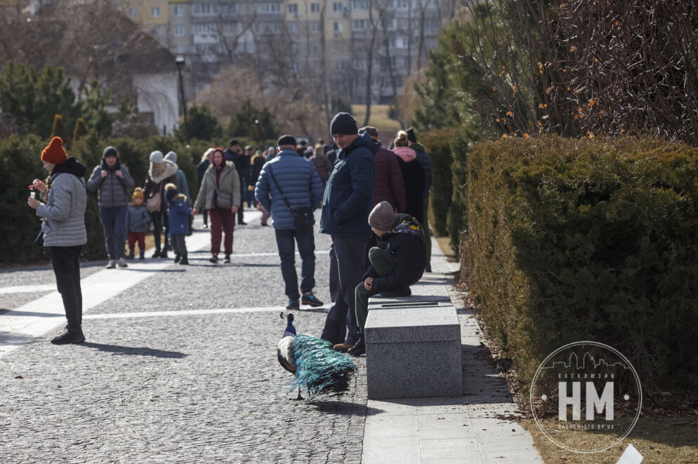 Теплий вихідний у яхт-клубі «Січ» - Наше Місто