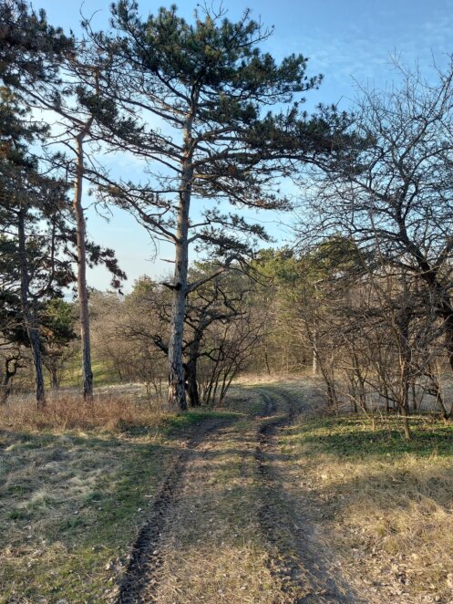 Новини Дніпра: Село Любимівка мальовничі краєвиди