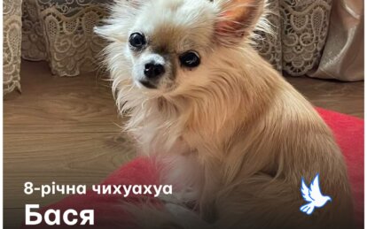 Новини Дніпра: Разом з тренером Кореновським загинула Бася