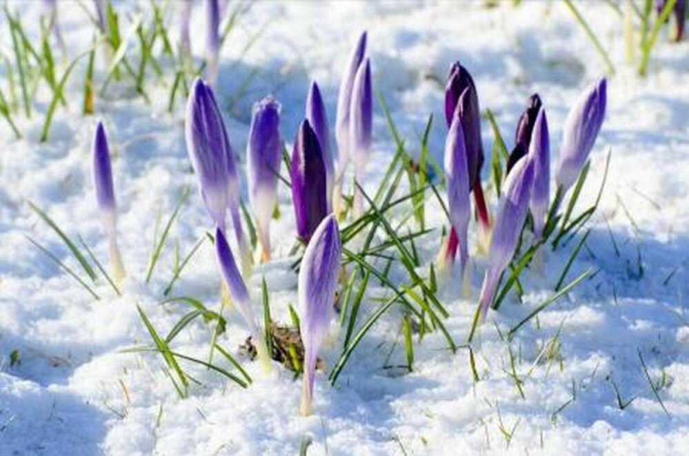 Новини Дніпра: Прогноз погоди на перший тиждень березня