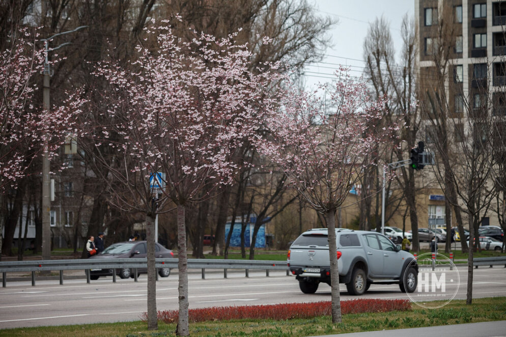 Весна в Дніпрі 2023 - Наше Місто