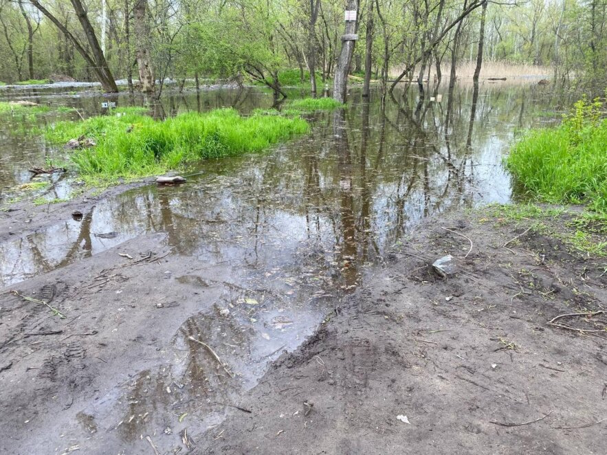 Коли очікується пік водопілля - Наше Місто