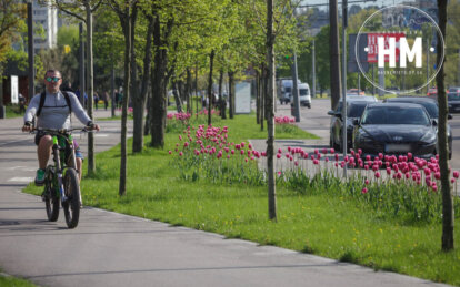 Чекати залишилось недовго: коли в Дніпрі потеплішає та припиняться дощі